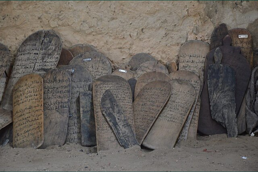 Building with trees Building with trees